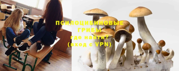 стаф Горнозаводск