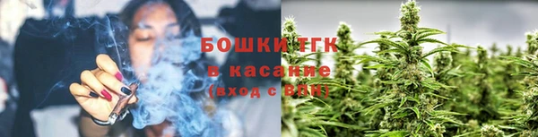 стаф Горнозаводск