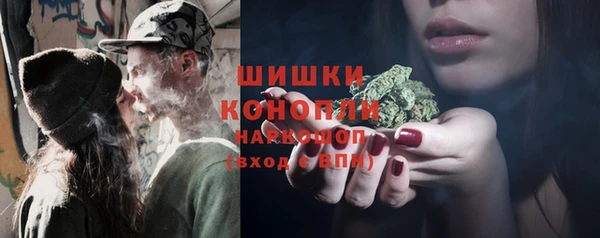 стаф Горнозаводск
