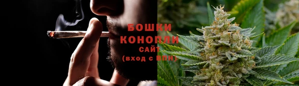 стаф Горнозаводск