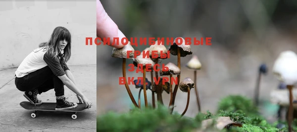 стаф Горнозаводск