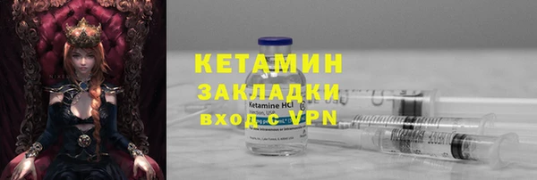 прущие грибы Горно-Алтайск