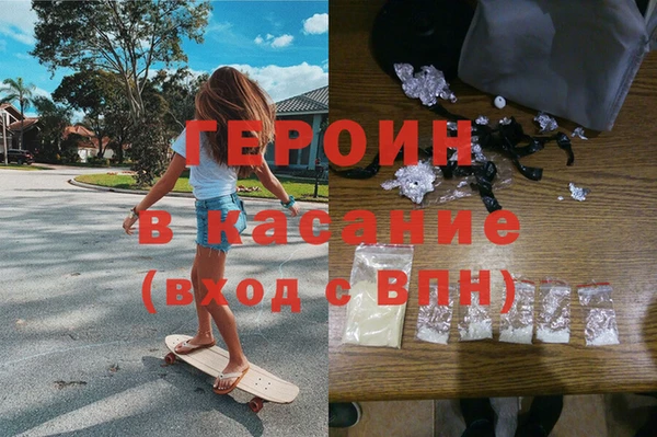 прущие грибы Горно-Алтайск
