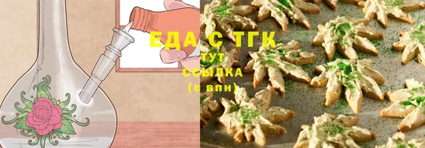 прущие грибы Горно-Алтайск