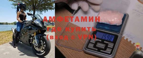 прущие грибы Горно-Алтайск