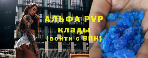 ПСИЛОЦИБИНОВЫЕ ГРИБЫ Гусь-Хрустальный