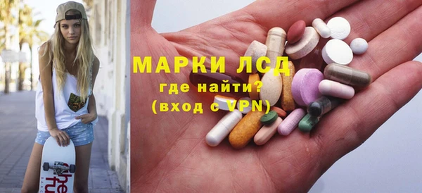прущие грибы Горно-Алтайск
